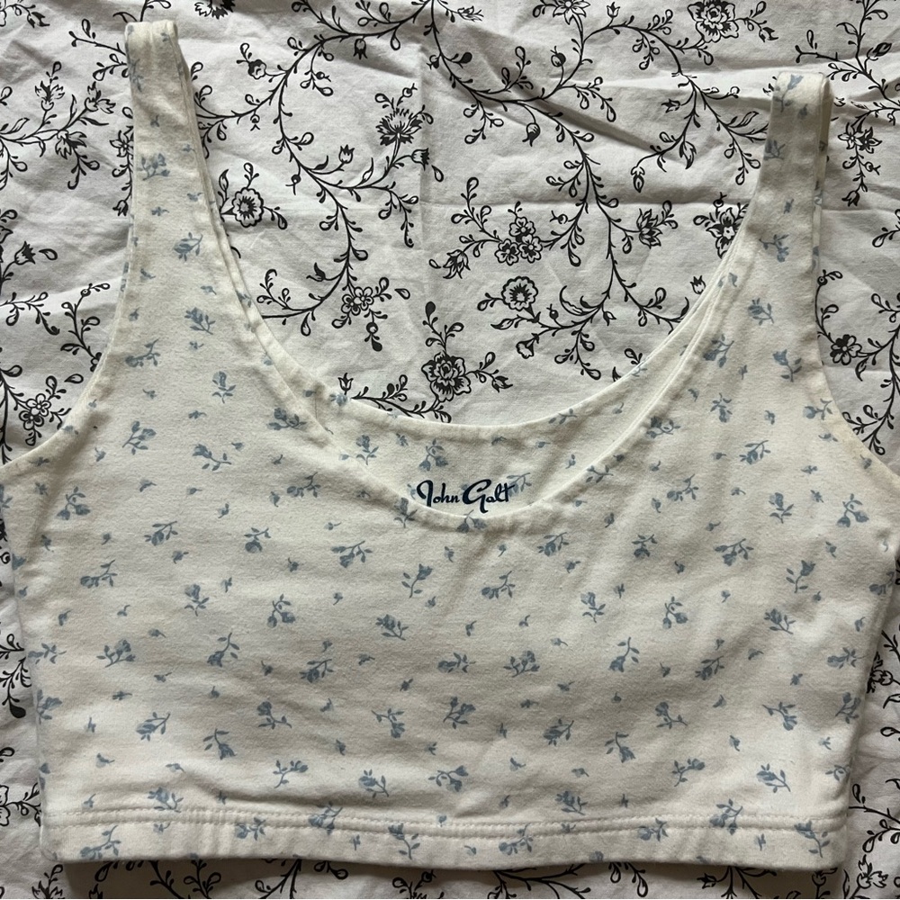 White and Bkue Floral Brandy Melville Top